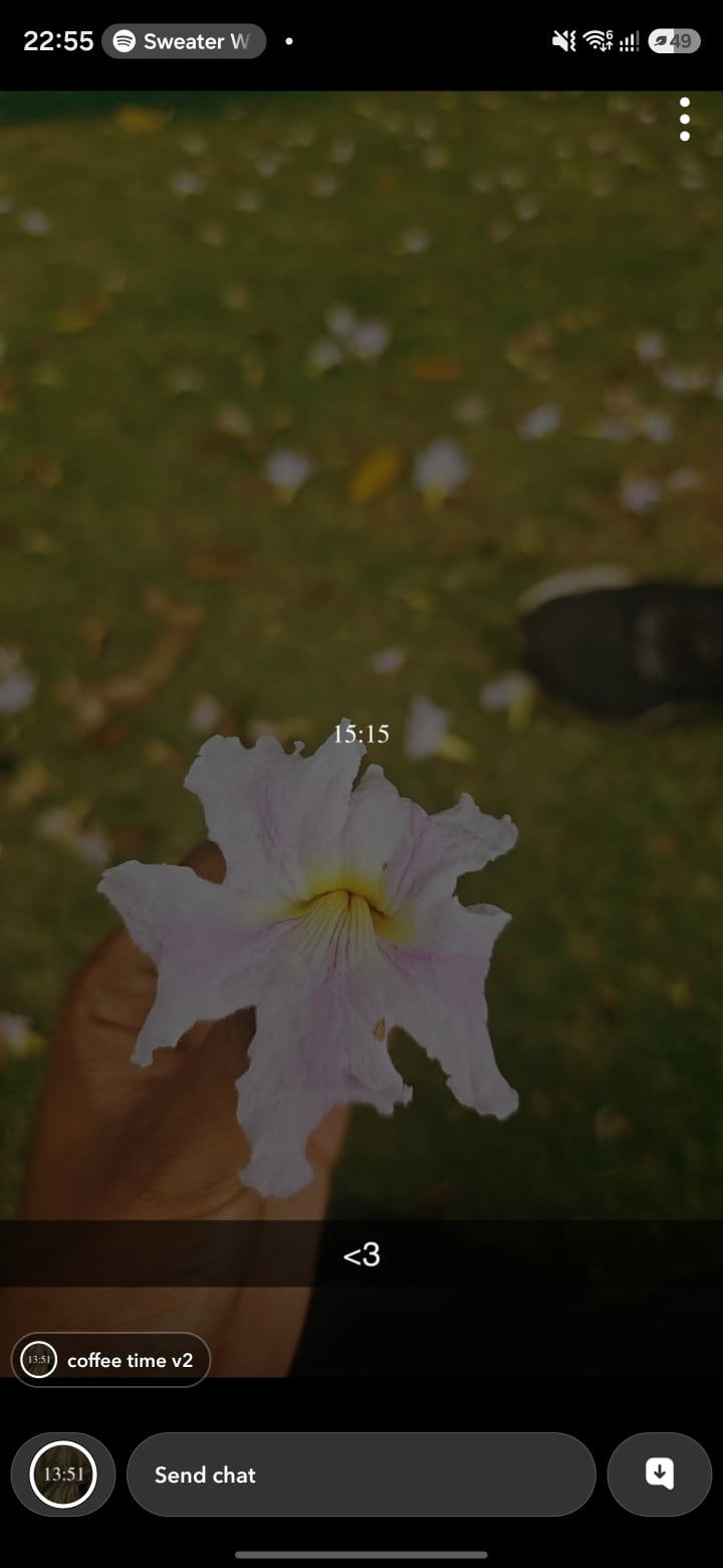 the flower he gave
